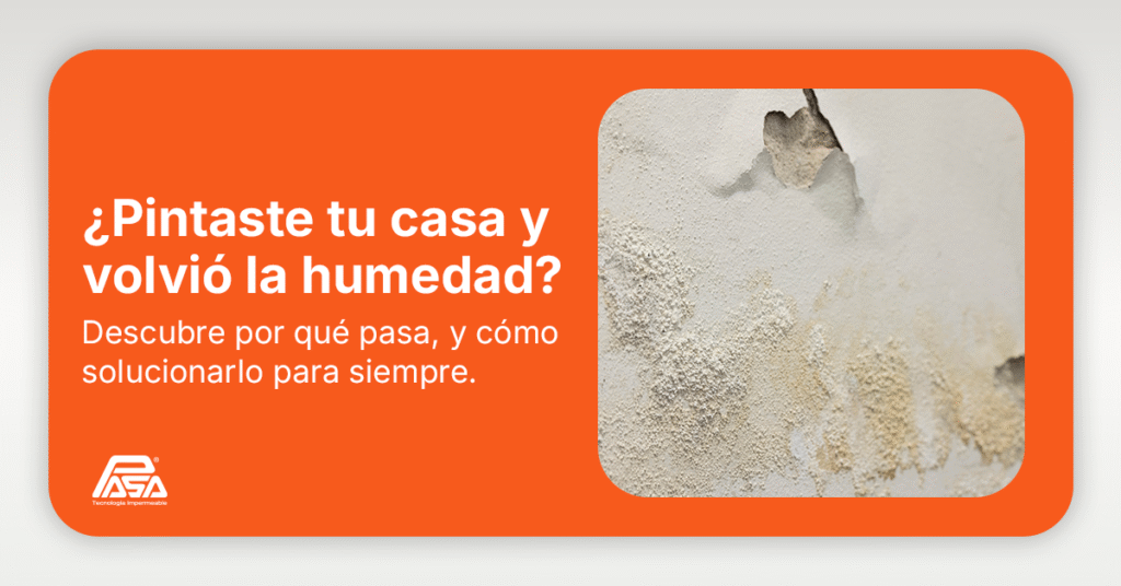 ¿Pintaste tu casa y volvió la humedad? Descubre por qué pasa y cómo solucionarlo para siempre