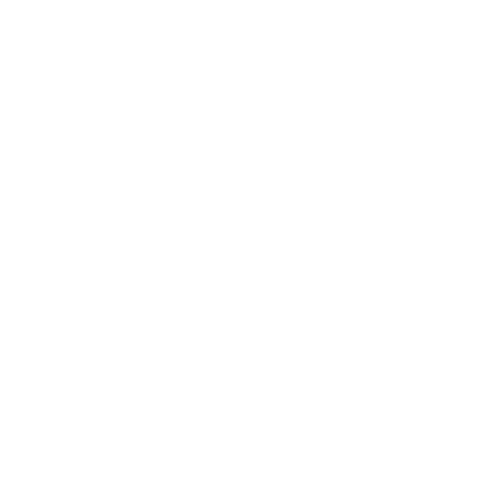 ISO 900102015 BLANCO
